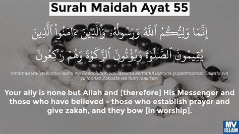 surah 55|surah 55 al quran.